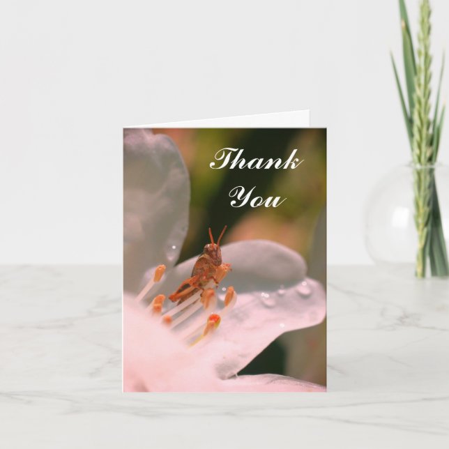 Azalea Flower And Grasshopper Thank You Card (Front)