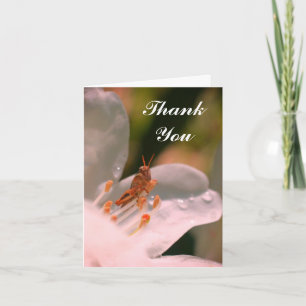 Azalea Flower And Grasshopper Thank You Card
