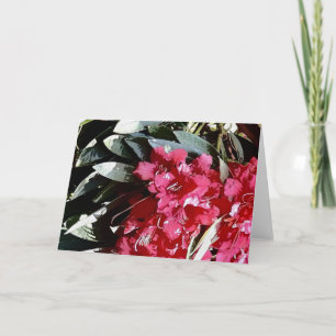 azalea flower in red holiday card