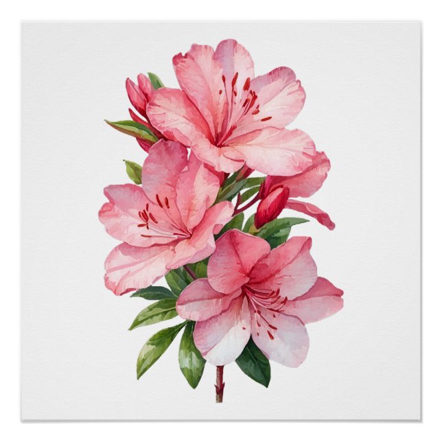 Azalea flower watercolor painting poster (Front)