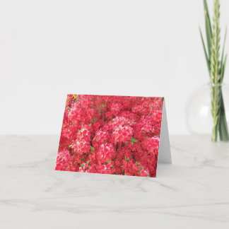 Azalea Greeting Card