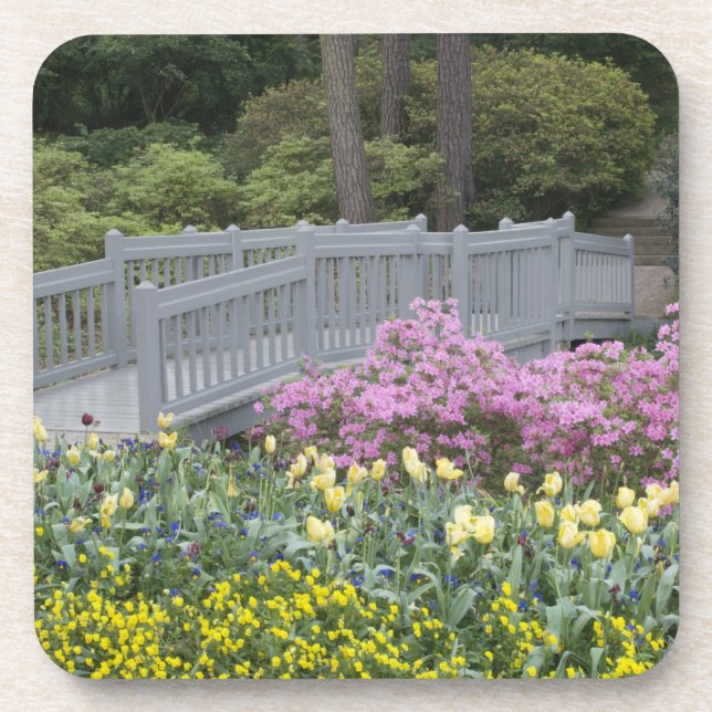 Azalea Heath Family (Ericaceae), Tulip, and Coaster (Front)