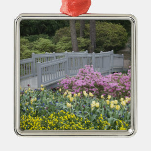 Azalea Heath Family (Ericaceae), Tulip, and Metal Ornament