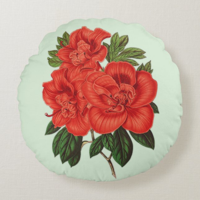 Azalea (indica) Grand Duchess  Round Pillow (Front)