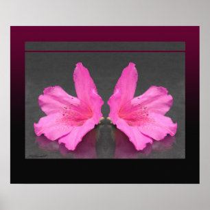Azalea Mirrored Print -24x20 -other sizes also