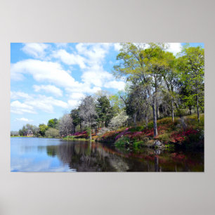 Azaleas At Rice Mill Pond Poster