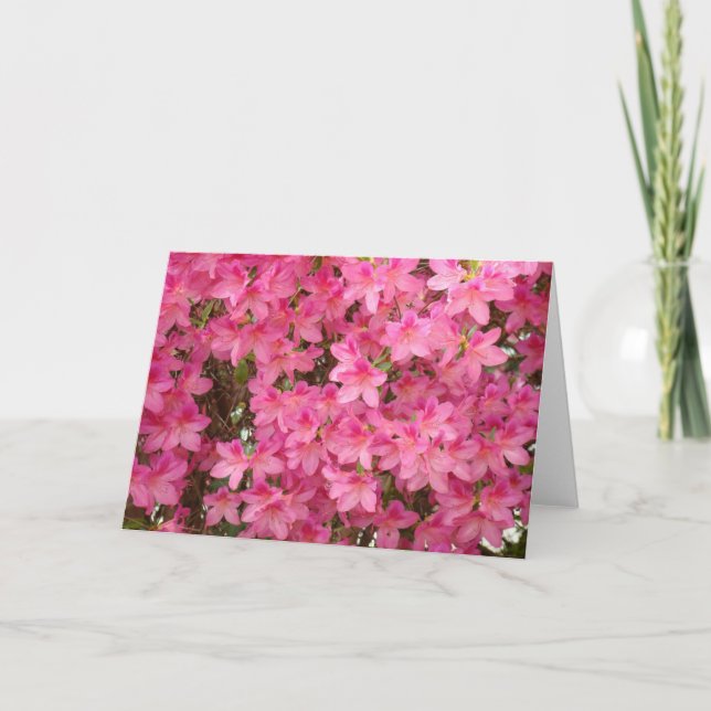 AZALEAS  Azalea Flowers GREETING CARDS CARD NOTE (Front)