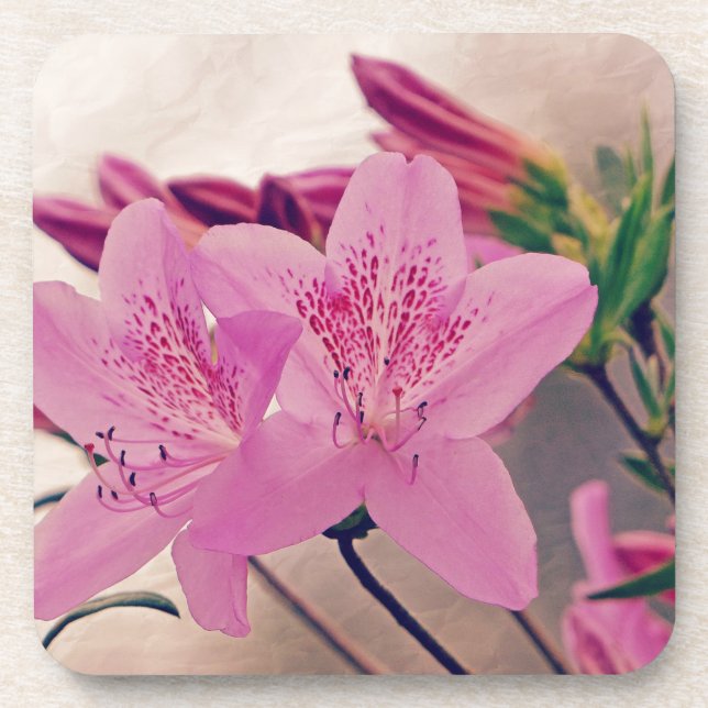 Azaleas Coaster (Front)