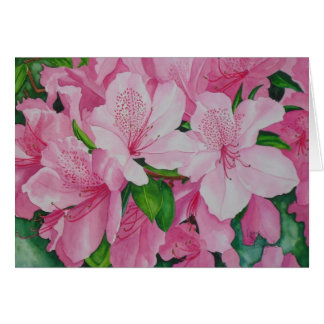 Azaleas doux