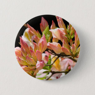 AZALEAS FLOWERS Summer 9 Azaleas Cards Gifts Mugs 2 Inch Round Button