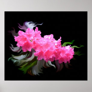 Azaleas Poster