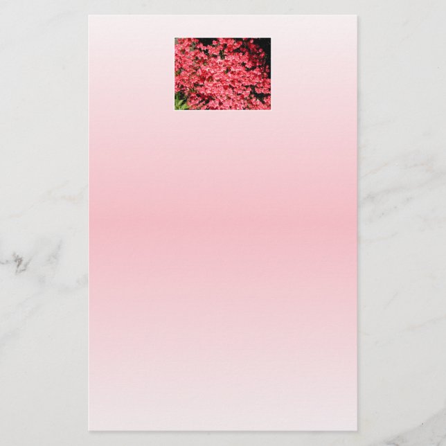 Azaleas. Pretty Pink Flowers. (Front)