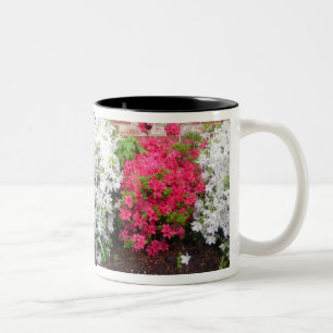 Azaleas wrap around Mug