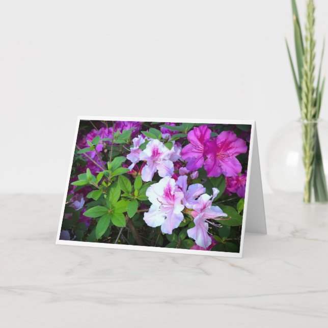 Azalée, carte (Devant)