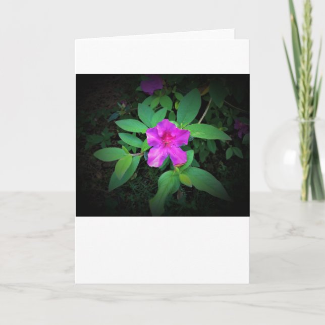 Azalée, carte (Devant)