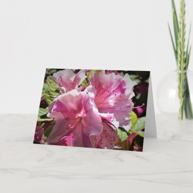 Azalée, carte (Devant)