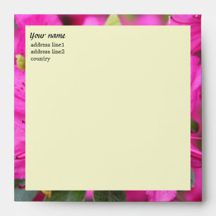 azalée rose fleurs enveloppes florales roses