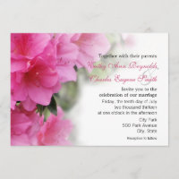 Azalées rose-foncé épousant ou invitations de