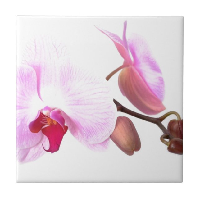 Aziza Orchid Blossoms Tile (Front)