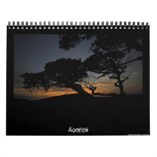 Azores 2011 Calendar