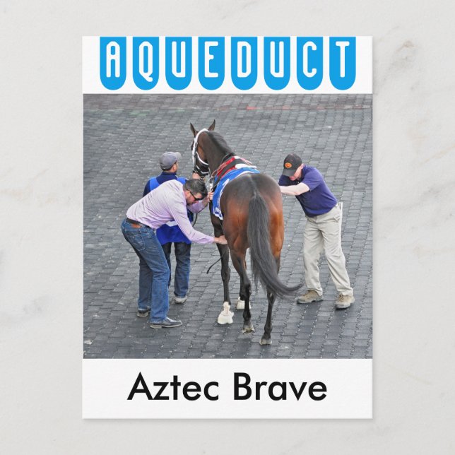 Aztec Brave Postcard (Front)