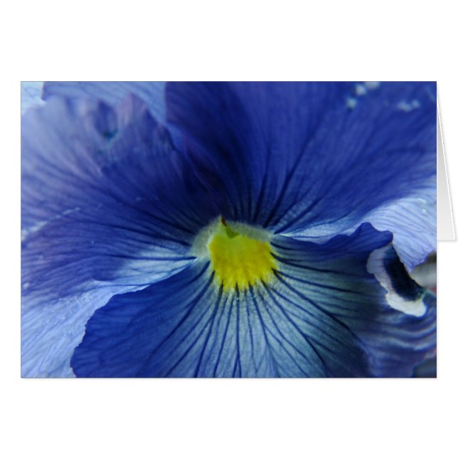 Azul (Front Horizontal)