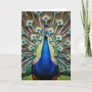 Azure Bird Birthday Card
