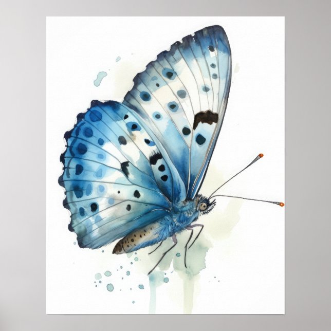 Azure Butterfly Art Print Poster (Front)