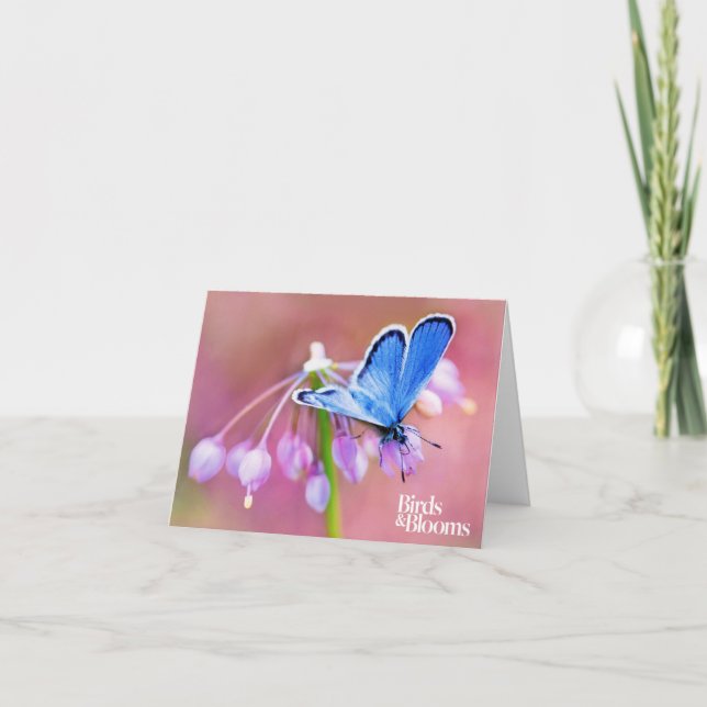 Azure Butterfly Card (Front)