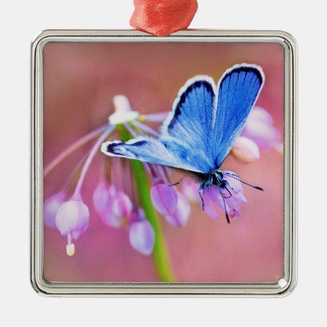 Azure Butterfly Metal Ornament (Front)
