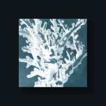 Azure Coral I Canvas Print<br><div class="desc">Marine Life</div>