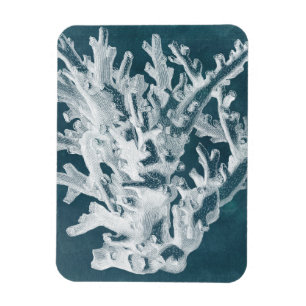 Azure Coral I Magnet
