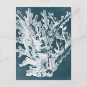 Azure Coral I Postcard