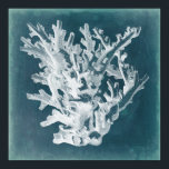 Azure Coral I Poster<br><div class="desc">Marine Life</div>