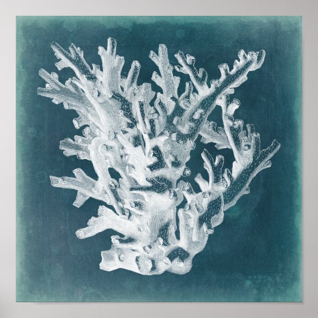 Azure Coral I Poster (Front)