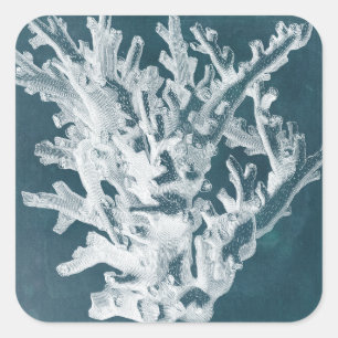Azure Coral I Square Sticker