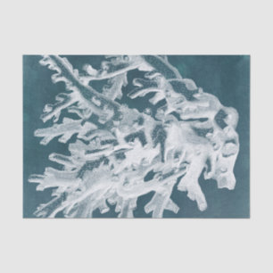 Azure Coral I Tissue Paper