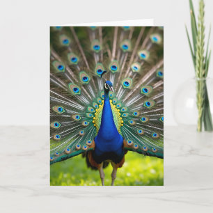 Azure Feather Fathers Day Card