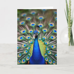 Azure Peacock Mothers Day Card