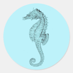 Azure Seahorse Sticker