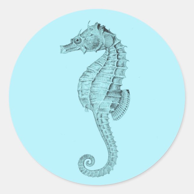 Azure Seahorse Sticker (Front)