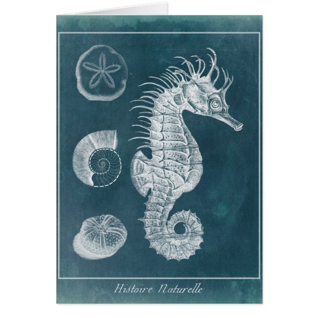 Azure Seahorse Study I (Devant)