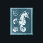 Azure Seahorse Study I Canvas Print<br><div class="desc">Marine Life</div>