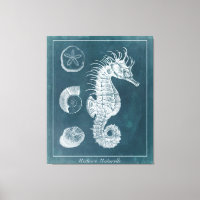 Azure Seahorse Study I