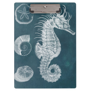 Azure Seahorse Study I Clipboard