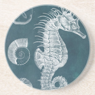 Azure Seahorse Study I Coaster