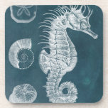 Azure Seahorse Study I Coaster<br><div class="desc">Marine Life</div>