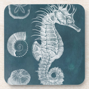 Azure Seahorse Study I Coaster