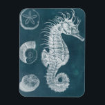 Azure Seahorse Study I Magnet<br><div class="desc">Marine Life</div>