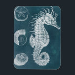 Azure Seahorse Study I Magnet<br><div class="desc">Marine Life</div>